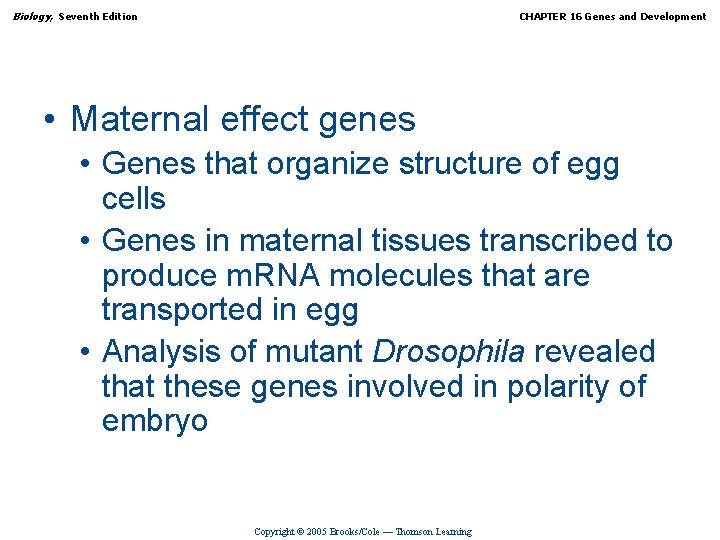 Biology, Seventh Edition CHAPTER 16 Genes and Development • Maternal effect genes • Genes