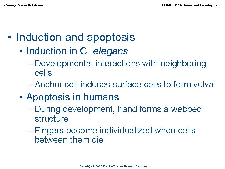 Biology, Seventh Edition CHAPTER 16 Genes and Development • Induction and apoptosis • Induction