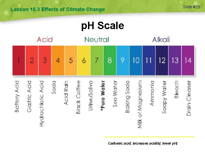 Slide #29 Lesson 16. 3 Effects of Climate Change p. H Scale H 2