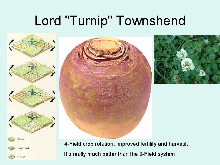 Lord "Turnip" Townshend 4 -Field crop rotation, improved fertility and harvest. It’s really much
