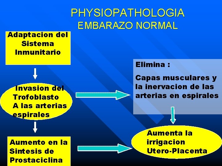 PHYSIOPATHOLOGIA Adaptacion del Sistema Inmunitario EMBARAZO NORMAL Elimina : Invasion del Trofoblasto A las