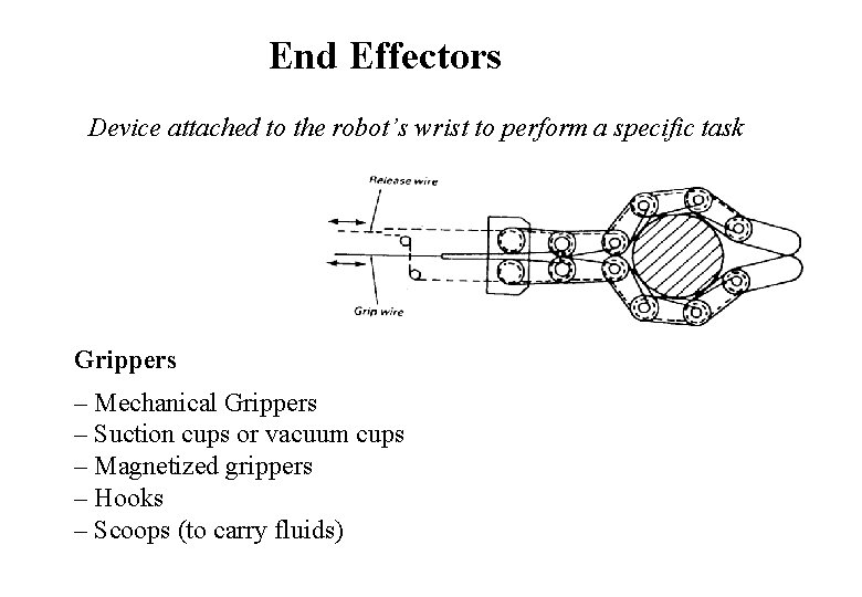 End Effectors Device attached to the robot’s wrist to perform a specific task Grippers