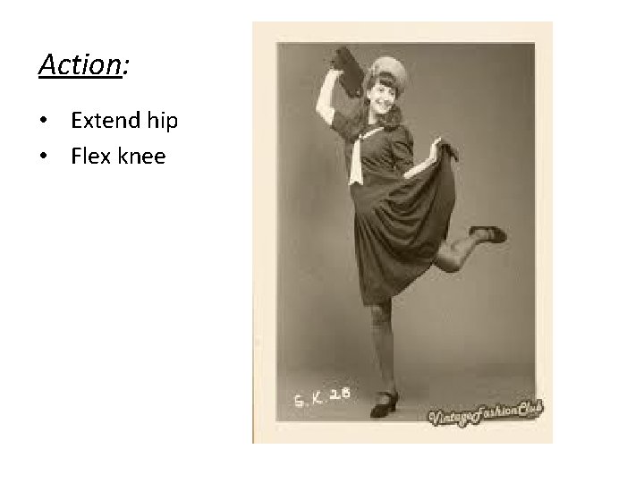 Action: • Extend hip • Flex knee 