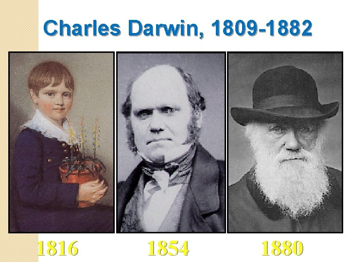 Charles Darwin, 1809 -1882 1816 1854 1880 