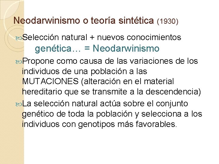 Neodarwinismo o teoría sintética (1930) Selección natural + nuevos conocimientos genética… = Neodarwinismo Propone