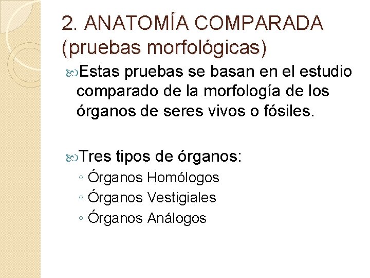 2. ANATOMÍA COMPARADA (pruebas morfológicas) Estas pruebas se basan en el estudio comparado de