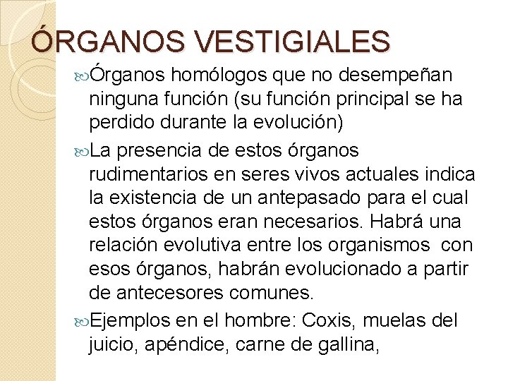 ÓRGANOS VESTIGIALES Órganos homólogos que no desempeñan ninguna función (su función principal se ha