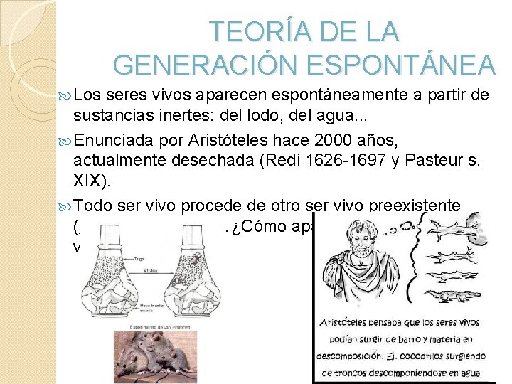 TEORÍA DE LA GENERACIÓN ESPONTÁNEA Los seres vivos aparecen espontáneamente a partir de sustancias