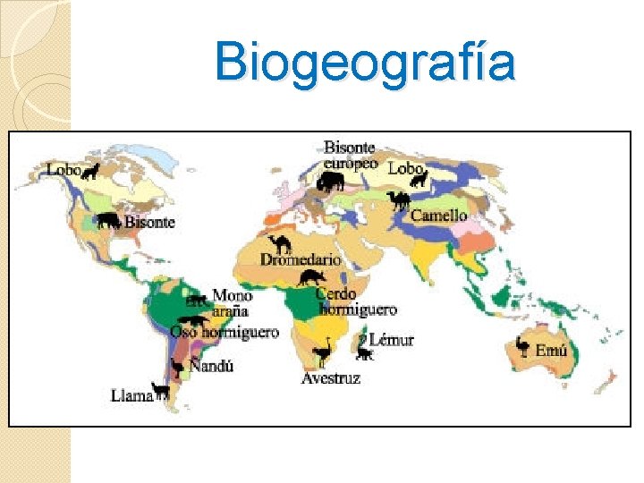 Biogeografía 