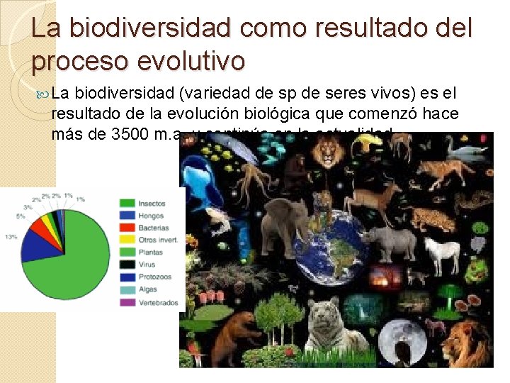 La biodiversidad como resultado del proceso evolutivo La biodiversidad (variedad de sp de seres