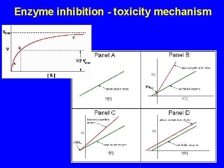 Enzyme inhibition - toxicity mechanism 