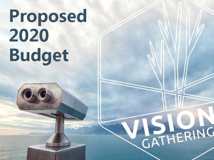 Proposed 2020 Budget 