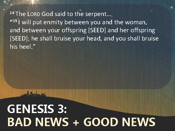 14 The LORD God said to the serpent… “ 15 I will put enmity