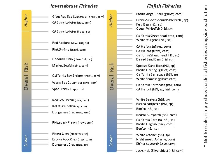 CA Spiny Lobster (trap, com) CA Spiny Lobster (hoop, sp) CA Halibut (gillnet, com)