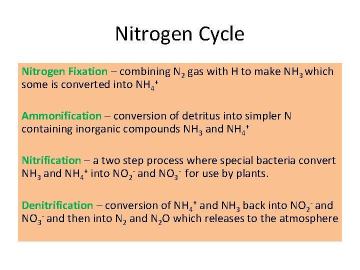Nitrogen Cycle Nitrogen Fixation – combining N 2 gas with H to make NH