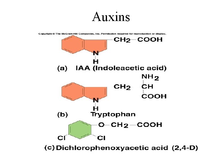 Auxins 
