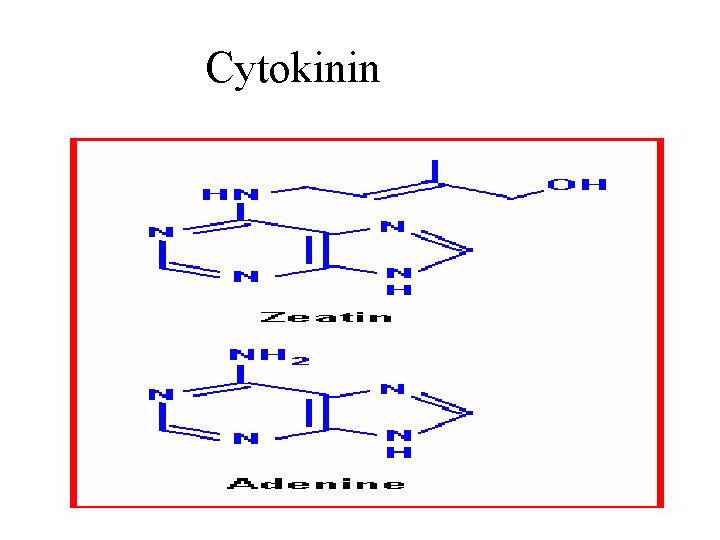 Cytokinin 