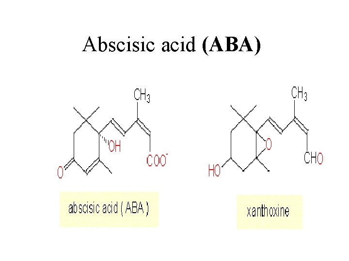 Abscisic acid (ABA) 