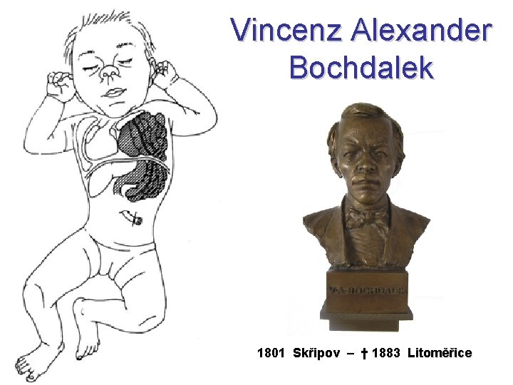 Vincenz Alexander Bochdalek 1801 Skřipov – † 1883 Litoměřice 