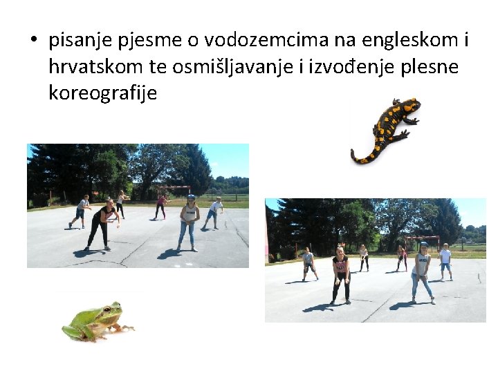  • pisanje pjesme o vodozemcima na engleskom i hrvatskom te osmišljavanje i izvođenje