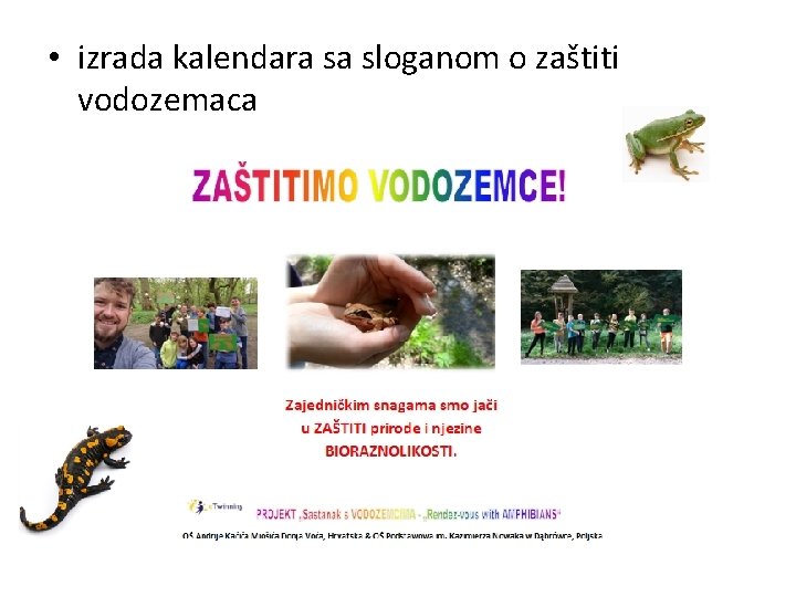  • izrada kalendara sa sloganom o zaštiti vodozemaca 