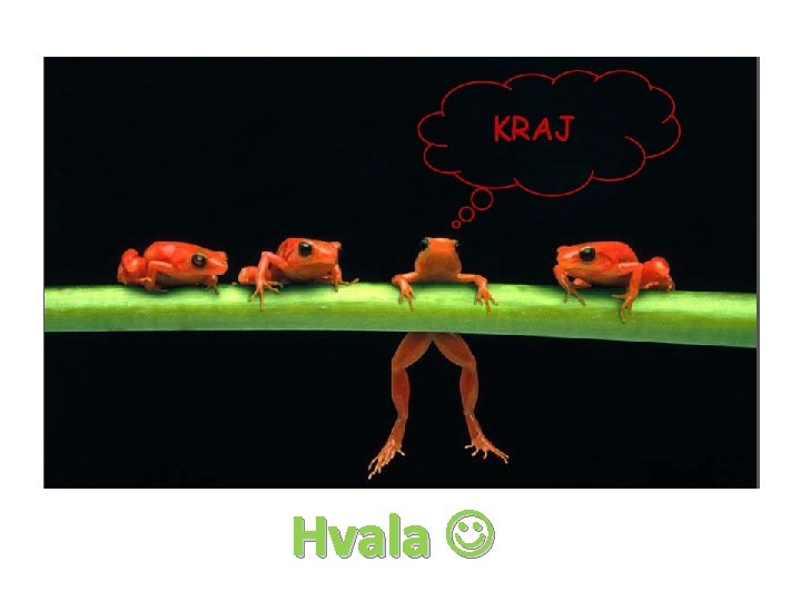 Hvala 