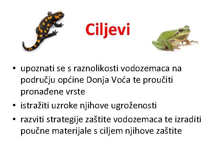 Ciljevi • upoznati se s raznolikosti vodozemaca na području općine Donja Voća te proučiti