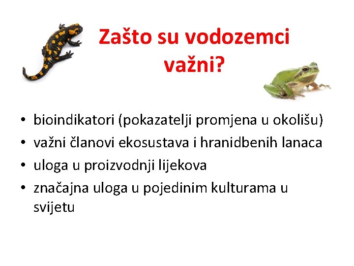 Zašto su vodozemci važni? • • bioindikatori (pokazatelji promjena u okolišu) važni članovi ekosustava