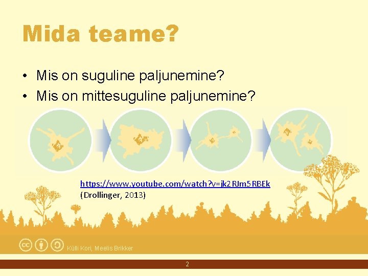 Mida teame? • Mis on suguline paljunemine? • Mis on mittesuguline paljunemine? https: //www.