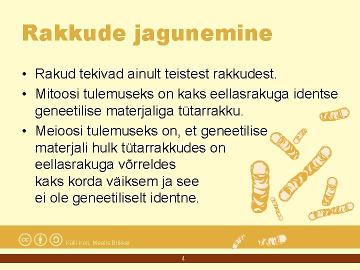 Rakkude jagunemine • Rakud tekivad ainult teistest rakkudest. • Mitoosi tulemuseks on kaks eellasrakuga