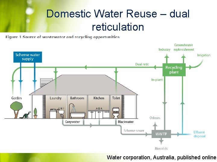 Domestic Water Reuse – dual reticulation Water corporation, Australia, published online 