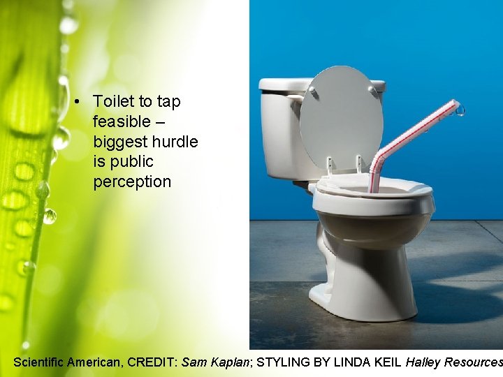  • Toilet to tap feasible – biggest hurdle is public perception Scientific American,