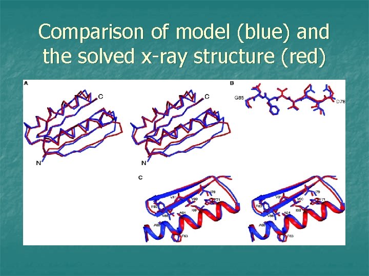Comparison of model (blue) and the solved x-ray structure (red) 