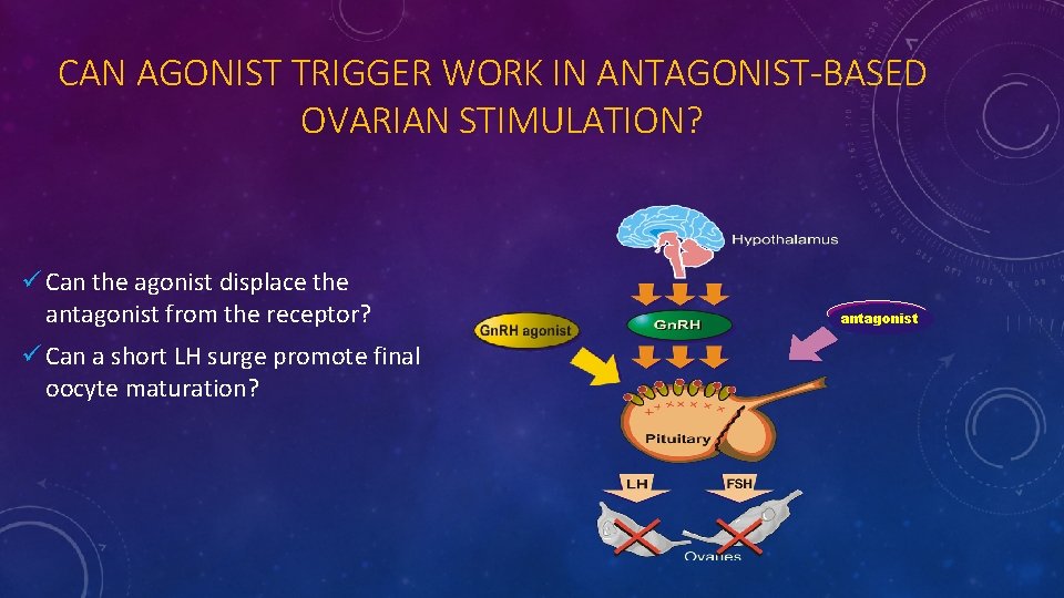 CAN AGONIST TRIGGER WORK IN ANTAGONIST-BASED OVARIAN STIMULATION? ü Can the agonist displace the