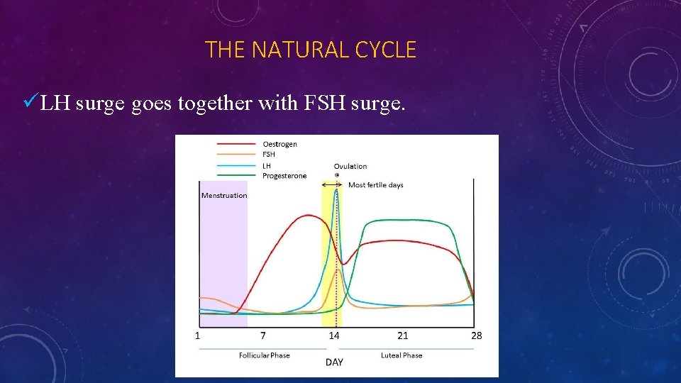 THE NATURAL CYCLE üLH surge goes together with FSH surge. 