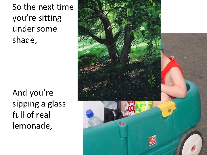 So the next time you’re sitting under some shade, And you’re sipping a glass