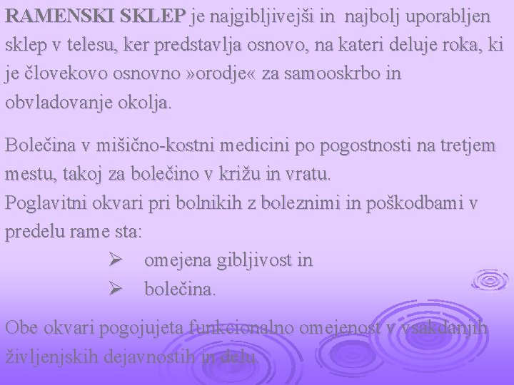 RAMENSKI SKLEP je najgibljivejši in najbolj uporabljen sklep v telesu, ker predstavlja osnovo, na