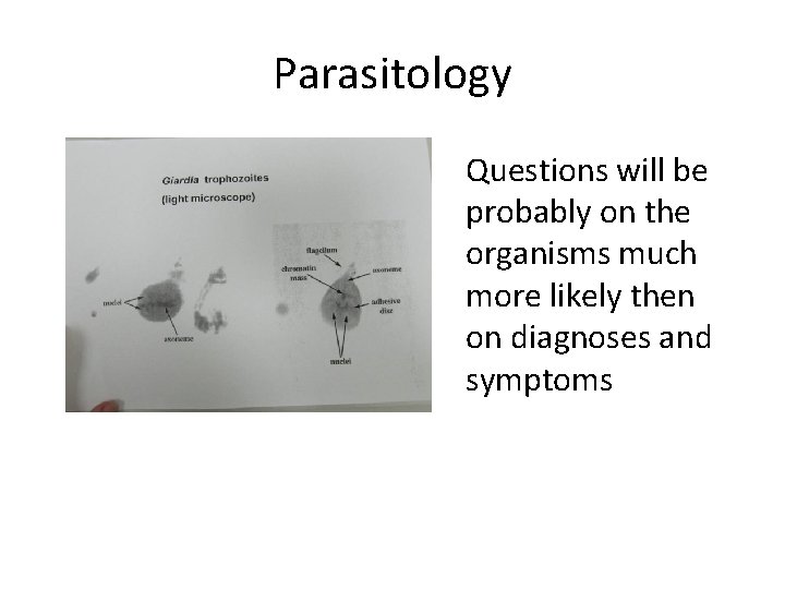 Parasitology Questions will be probably on the organisms much more likely then on diagnoses