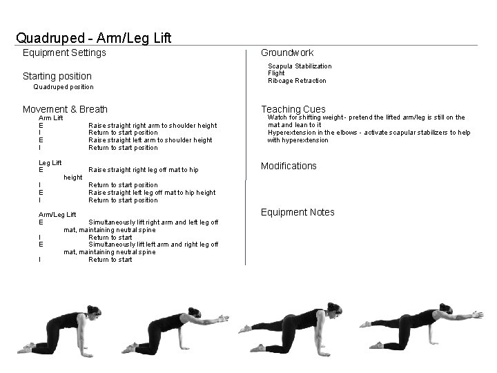 Quadruped - Arm/Leg Lift Equipment Settings Starting position Quadruped position Movement & Breath Arm