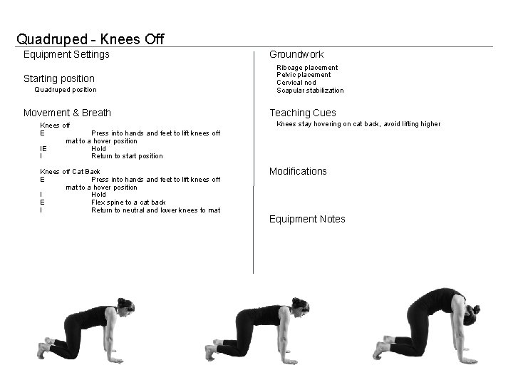 Quadruped - Knees Off Equipment Settings Starting position Quadruped position Movement & Breath Knees