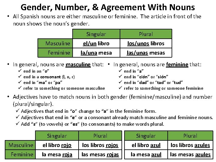 Gender, Number, & Agreement With Nouns • All Spanish nouns are either masculine or