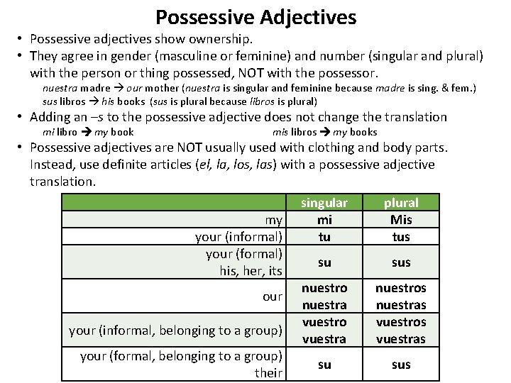Possessive Adjectives • Possessive adjectives show ownership. • They agree in gender (masculine or