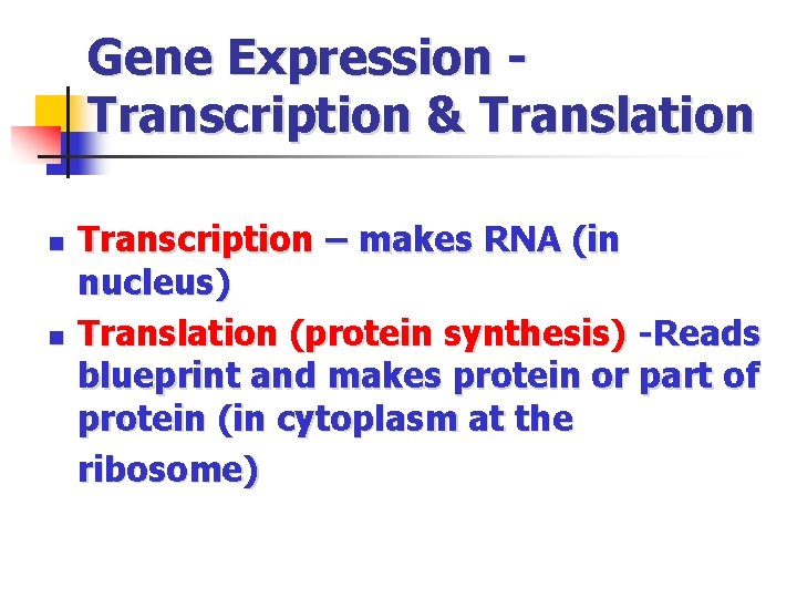 Gene Expression - Transcription & Translation n n Transcription – makes RNA (in nucleus)