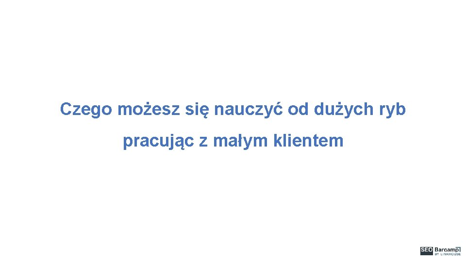 Czego możesz się nauczyć od dużych ryb pracując z małym klientem 