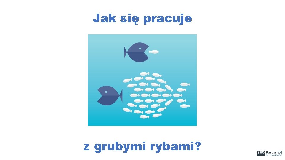 Jak się pracuje z grubymi rybami? 