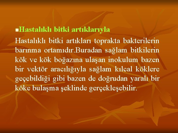 Hastalıklı bitki artıklarıyla Hastalıklı bitki artıkları toprakta bakterilerin barınma ortamıdır. Buradan sağlam bitkilerin kök