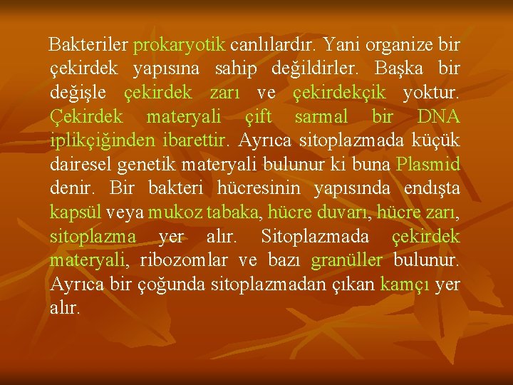  Bakteriler prokaryotik canlılardır. Yani organize bir çekirdek yapısına sahip değildirler. Başka bir değişle