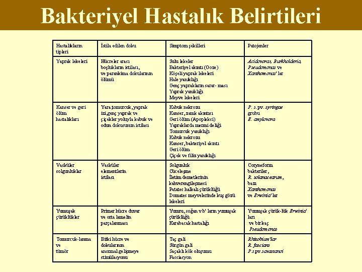 Bakteriyel Hastalık Belirtileri Hastalıkların tipleri İstila edilen doku Simptom şekilleri Patojenler Yaprak lekeleri Hücreler