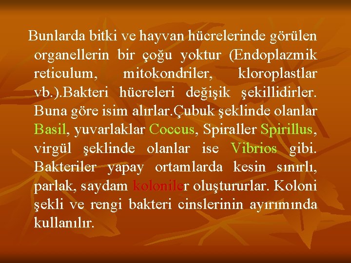  Bunlarda bitki ve hayvan hücrelerinde görülen organellerin bir çoğu yoktur (Endoplazmik reticulum, mitokondriler,