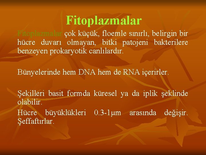 Fitoplazmalar çok küçük, floemle sınırlı, belirgin bir hücre duvarı olmayan, bitki patojeni bakterilere benzeyen